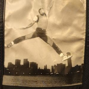 Nike Air Jordan gym shoe bag